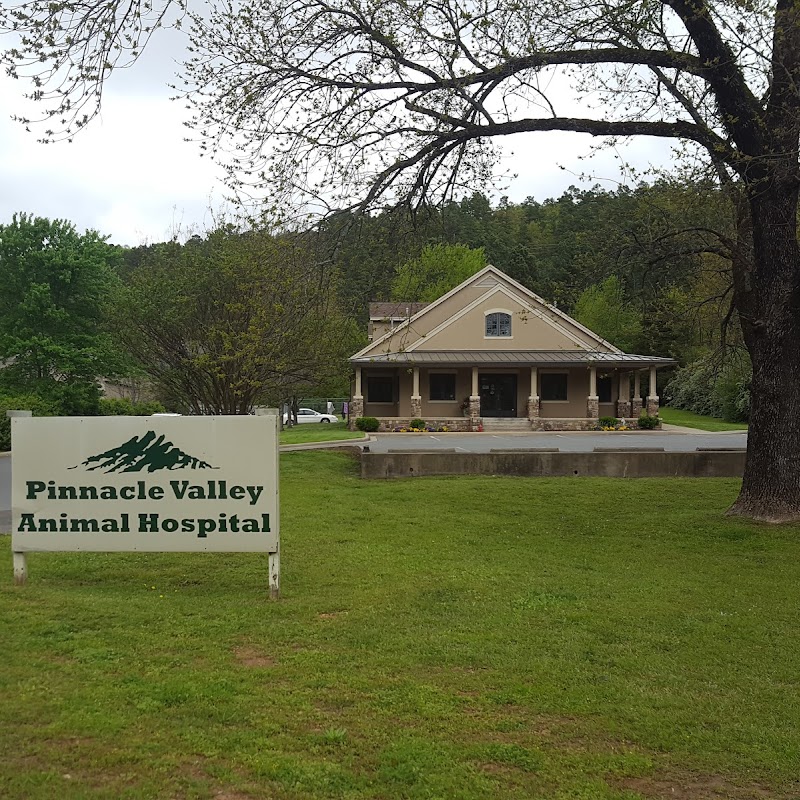 Pinnacle Valley WestRock Animal Hospital