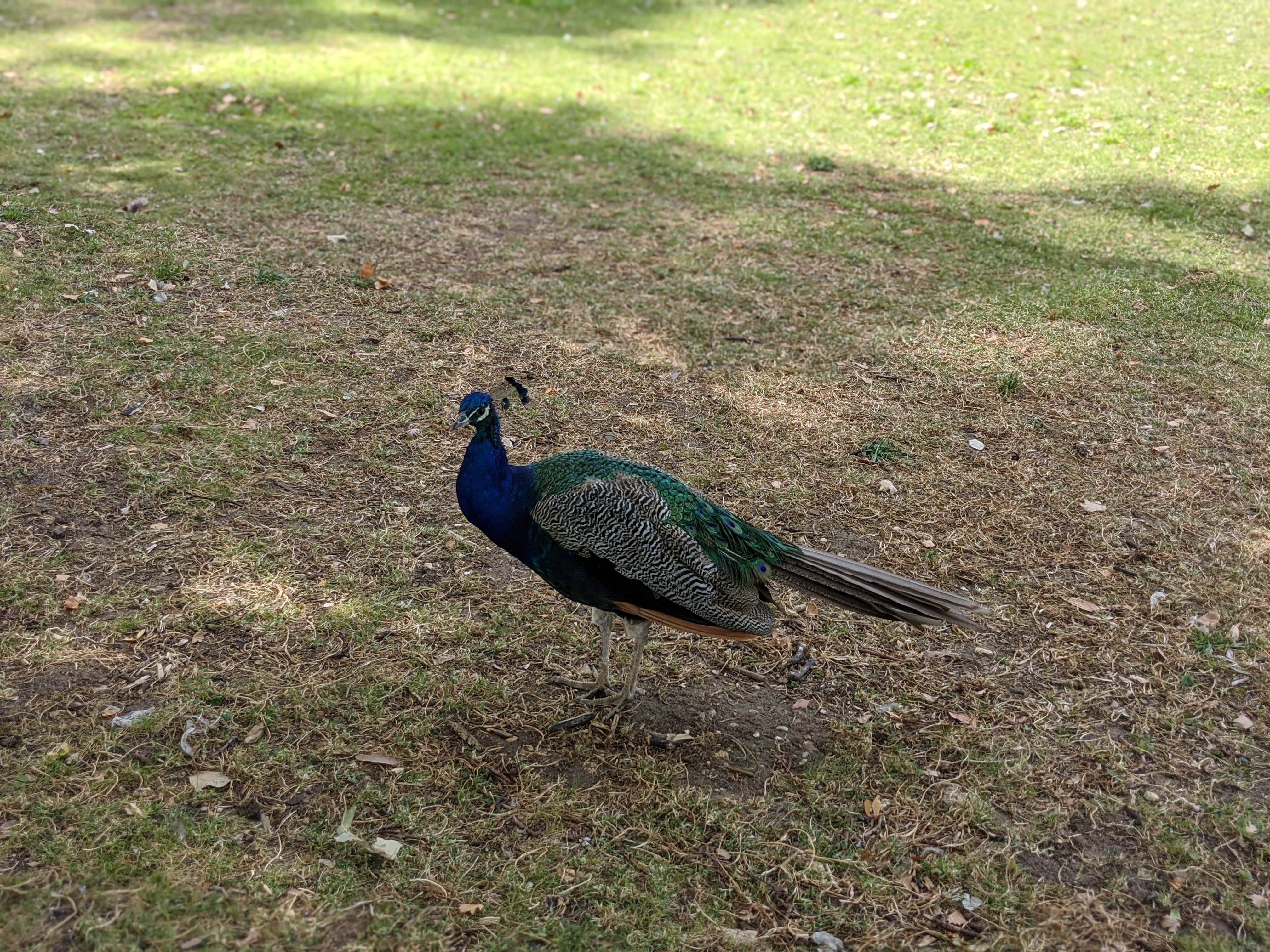 Photo n° 1 de l'avis de Ido.a fait le 02/08/2020 à 14:34