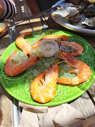Photo n°18 de L'hippocampe à Leucate ()