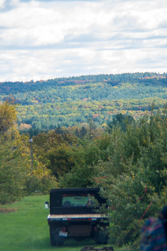 Orchard «George Hill Orchards», reviews and photos, 582 George Hill Rd, South Lancaster, MA 01561, USA