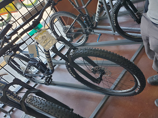 Ben's Bikes