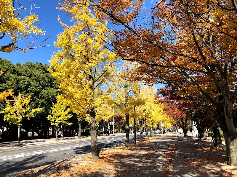 岡山大学