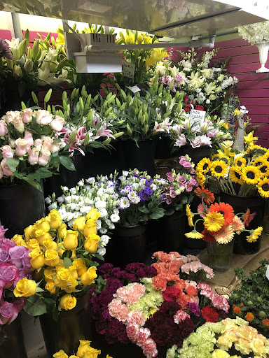 Florist «Dynamic Flowers of Royal Oak», reviews and photos, 3221 N Main St, Royal Oak, MI 48073, USA
