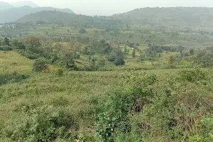 Kalvarayan Hill Forests image