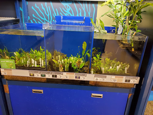 Pet Supply Store «Petco Animal Supplies», reviews and photos, 86 Storrs Rd, Mansfield Center, CT 06250, USA