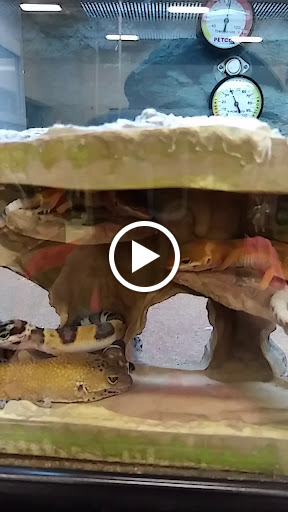 Pet Supply Store «Petco Animal Supplies», reviews and photos, 2255 East Ridge Road, Irondequoit, NY 14622, USA