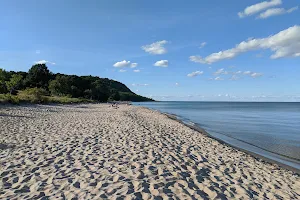 Stenshuvud's National Park Beach image