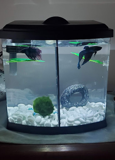 Pet Supply Store «PetSmart», reviews and photos, 1391 S Commons Dr, Myrtle Beach, SC 29588, USA