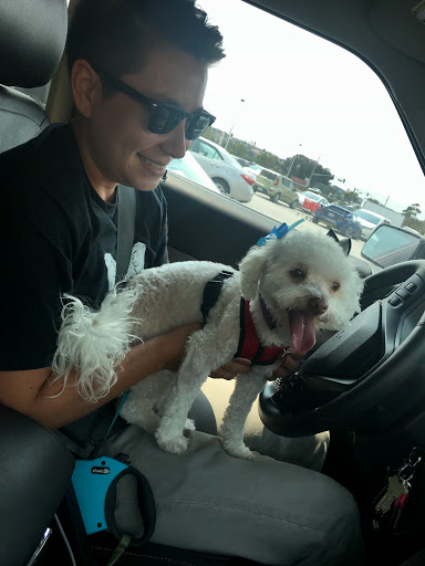 Pet Supply Store «Petco Animal Supplies», reviews and photos, 1150 El Camino Real #167, San Bruno, CA 94066, USA