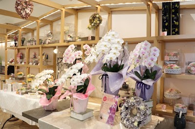 コノカ 川西阪急店