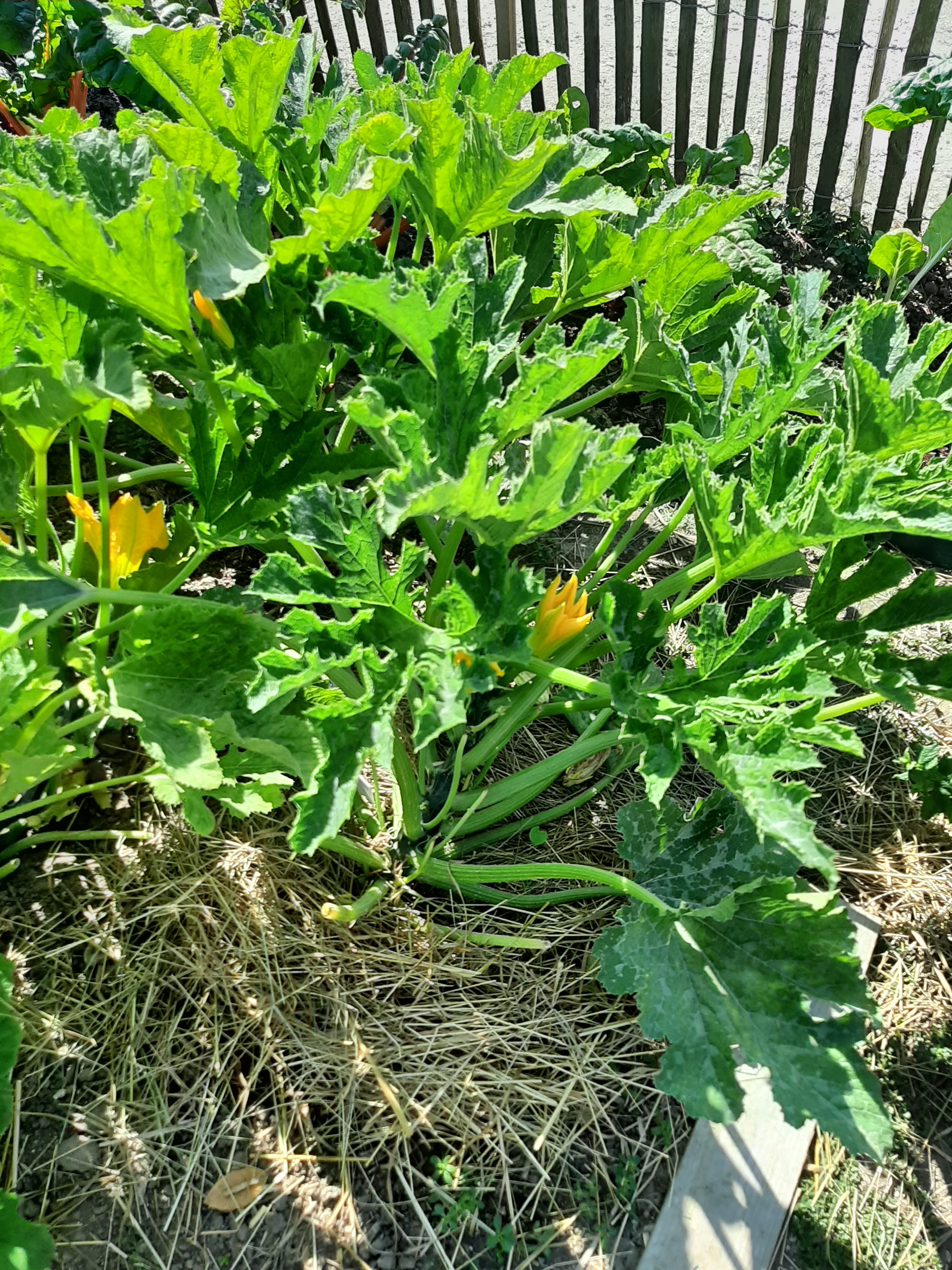 Photo n° 2 de l'avis de catherine.o fait le 24/07/2019 à 14:14