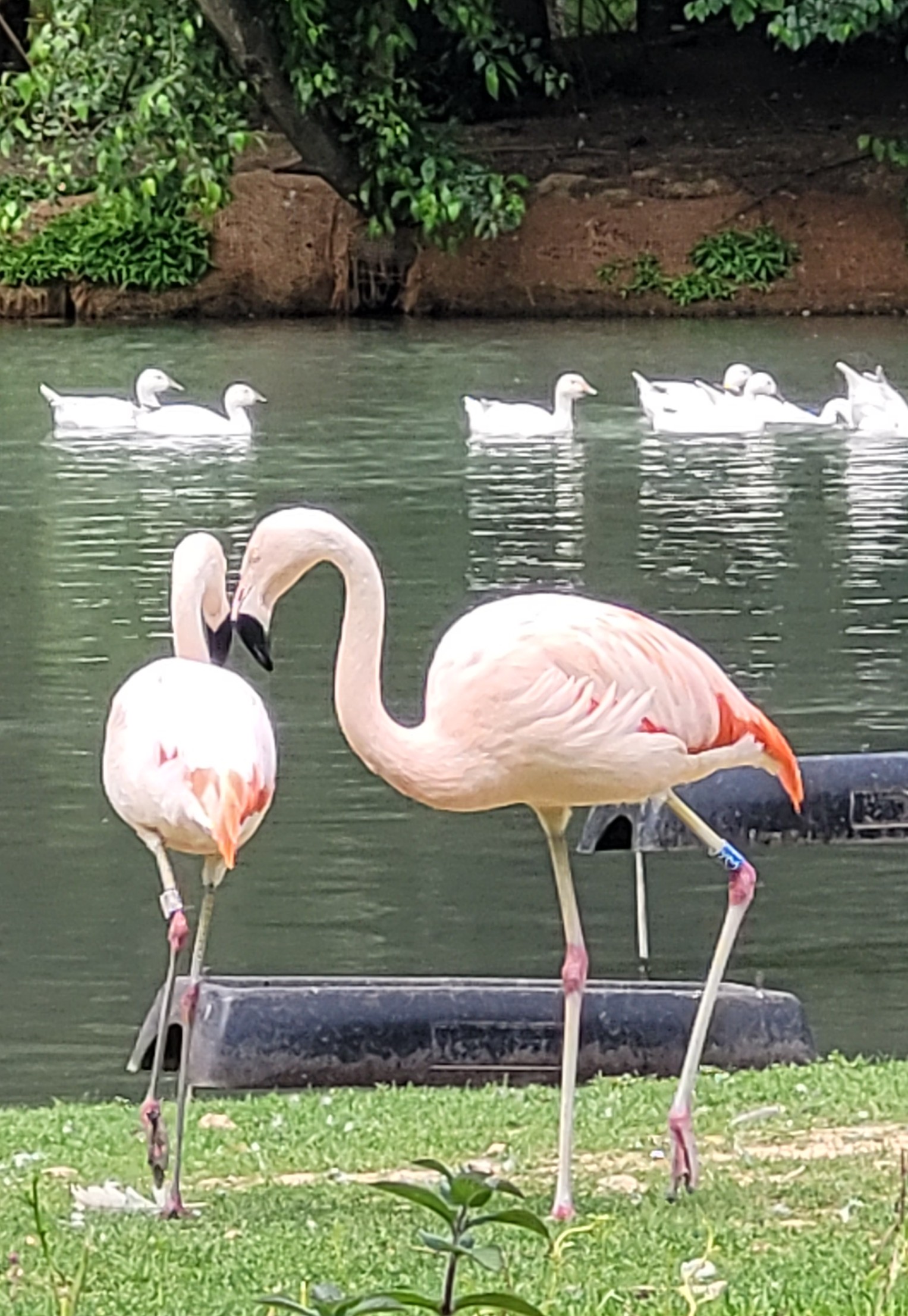 Photo n° 9 de l'avis de Vero.o fait le 14/06/2022 à 11:47