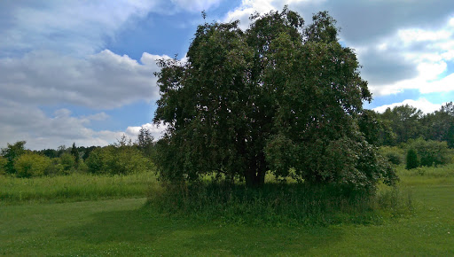 Nature Preserve «Arthur L. Janura Forest Preserve», reviews and photos, IL-58, Elgin, IL 60120, USA