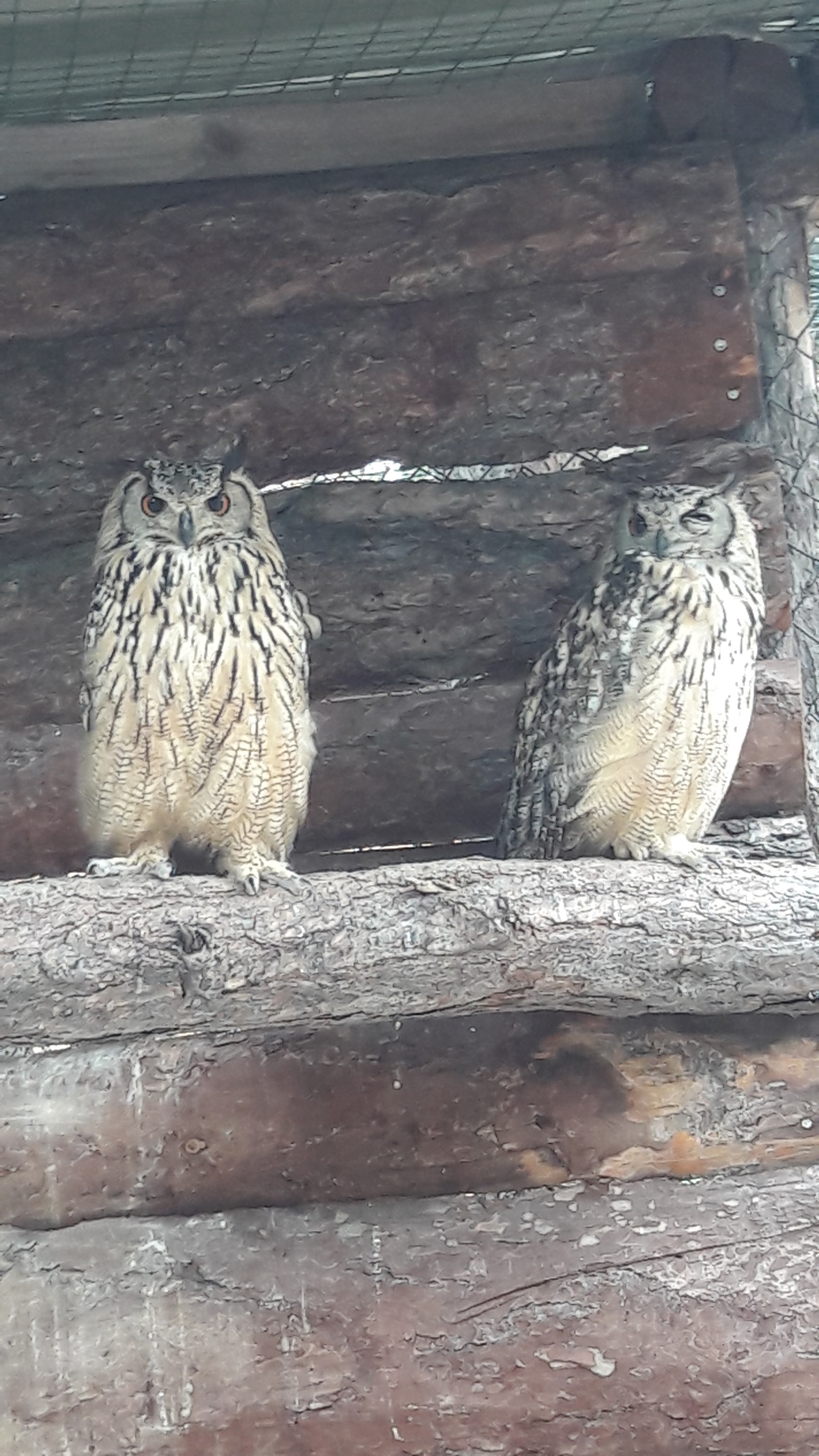 Photo n° 5 de l'avis de Sabrina.o fait le 02/07/2018 à 22:16