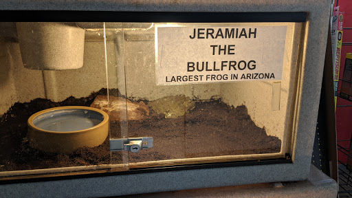 Pet Store «CUSTOM CREATURES PET SHOP», reviews and photos, 10727 N 19th Ave, Phoenix, AZ 85029, USA