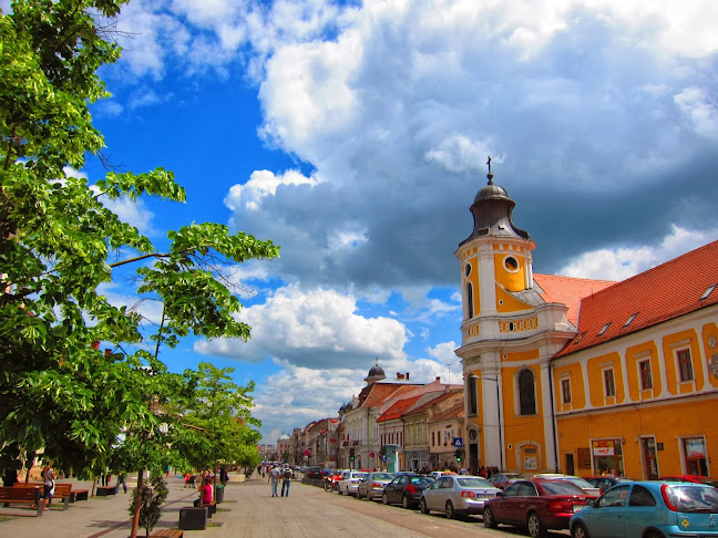 Opinii despre Centrul de Informare Turistică Cluj-Napoca în <nil> - Agenție de turism