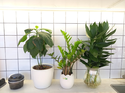 Top 20 cửa hàng tupperware Huyện Thanh Trì Hà Nội 2022