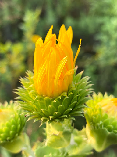 Park «Trophy Club Park», reviews and photos, 2885 Trophy Park Dr, Trophy Club, TX 76262, USA