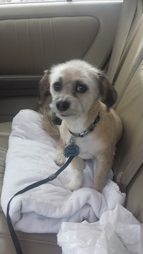 Pet Supply Store «PetSmart», reviews and photos, 4500 Mitchellville Rd, Bowie, MD 20716, USA