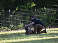 Ronin Guard Services - Photo 5 - Car repair in Memphis, TN, Memphis