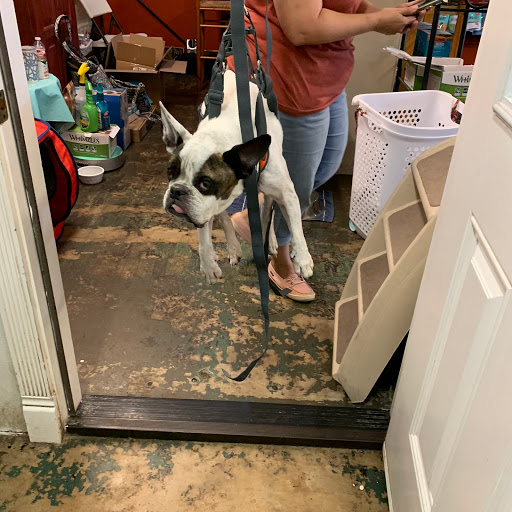 Pet Supply Store «Goin To the Dogs & Cats Pet», reviews and photos, 814 Wellman Ave NE, Huntsville, AL 35801, USA