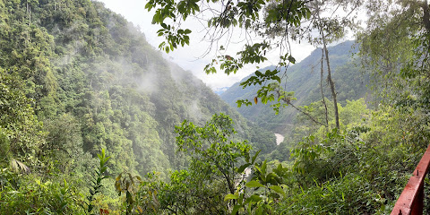 Parque Nacional Yanachaga Chemillen