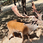 Photo n°6 de l'avis de Carlos.o fait le 22/08/2021 à 12:26 sur le  Donnortei à Fonni