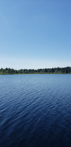 Park «Machias Trailhead Park», reviews and photos, 1626 Virginia St, Snohomish, WA 98290, USA