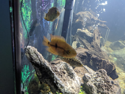 Pet Supply Store «Premium Pet Supply», reviews and photos, 1500 E Empire St, Bloomington, IL 61701, USA