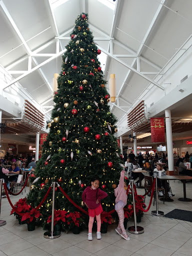 Book Store «Barnes & Noble», reviews and photos, 11500 Midlothian Turnpike, Richmond, VA 23235, USA