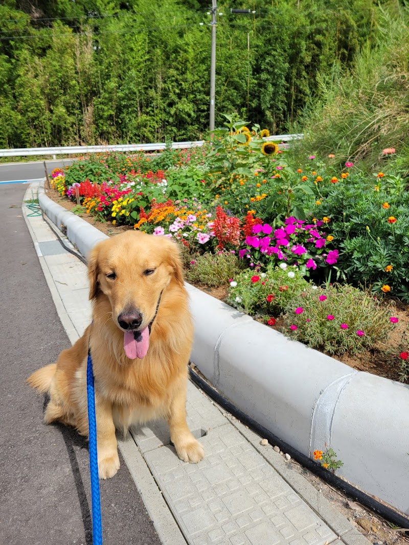 中岳老人クラブ花壇