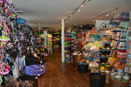 KJ Dog Food in Frederikshavn, Frederikshavn