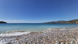 Kalamitsi beach'in fotoğrafı vahşi alan