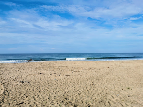 Playa El Carrizal