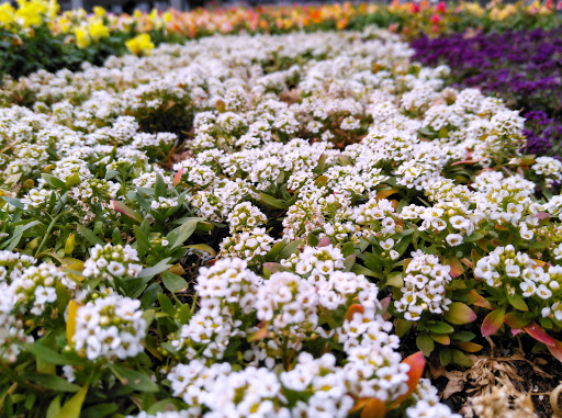 Discount Store «Walmart», reviews and photos, County Rd 513, Clinton, NJ 08809, USA