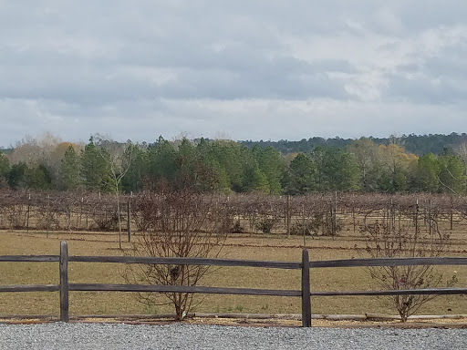 Winery «Log cabin vineyard», reviews and photos, 12774 AL-219, Selma, AL 36701, USA