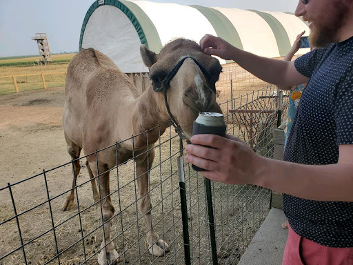 Tourist Attraction «Bloomsbury Farm», reviews and photos, 3260 69th St, Atkins, IA 52206, USA