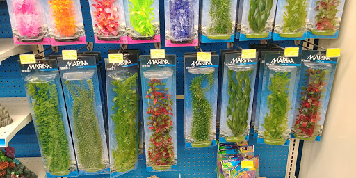 Pet Supply Store «Pet Supermarket», reviews and photos, 4445 E Bay Dr, Clearwater, FL 33764, USA