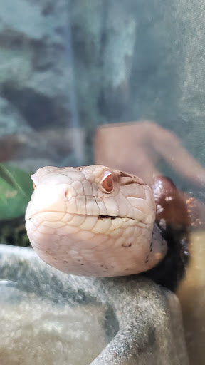 Pet Supply Store «Petco Animal Supplies», reviews and photos, 200 Center Blvd S, Christiana, DE 19702, USA