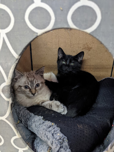 Pet Supply Store «Woodlands Pet Food & Treats», reviews and photos, 902 3rd St, San Rafael, CA 94901, USA