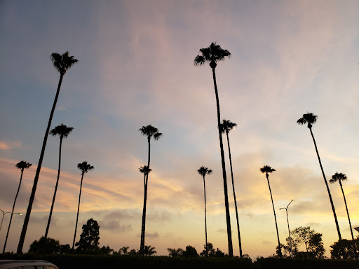 Restaurant «The Cheesecake Factory», reviews and photos, 1141 Newport Center Dr, Newport Beach, CA 92660, USA