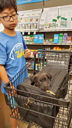 Pet Supply Store «Petco Animal Supplies», reviews and photos, 845 S Arroyo Pkwy, Pasadena, CA 91105, USA
