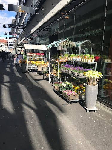 Rezensionen über Sihlcity Blumen in Zürich - Blumengeschäft