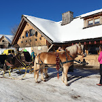 Photo n°4 de l'avis de Peer.h fait le 14/01/2022 à 16:57 sur le  Reinertonishof à Schönwald im Schwarzwald