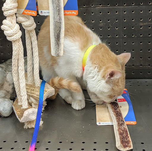 Pet Supply Store «Petco Animal Supplies», reviews and photos, 12444 NW 10th St #301, Yukon, OK 73099, USA