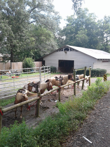 Farm «Pettit Creek Farms», reviews and photos, 337 Cassville Rd, Cartersville, GA 30120, USA