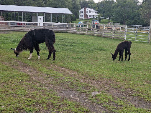 Farm «Dakota Ridge Farm», reviews and photos, 189 E High St, Ballston Spa, NY 12020, USA