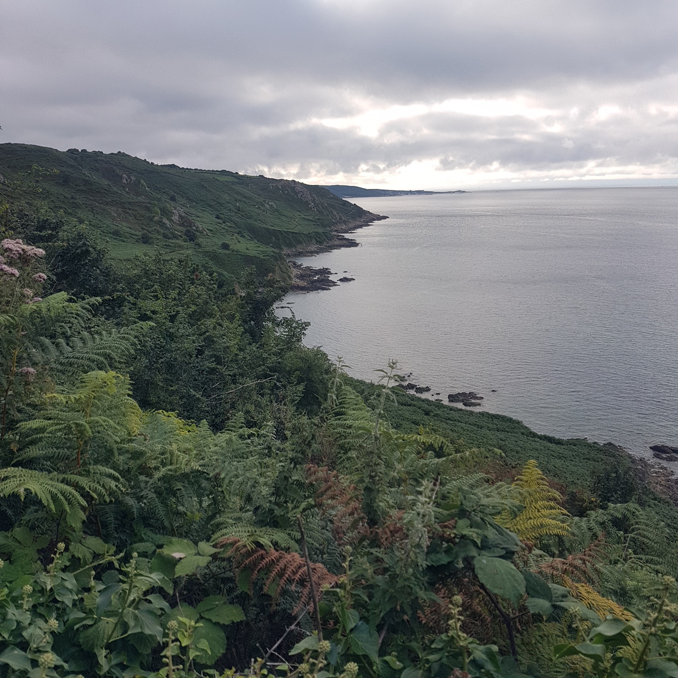 Photo n° 1 de l'avis de Jean.i fait le 22/08/2018 à 19:15