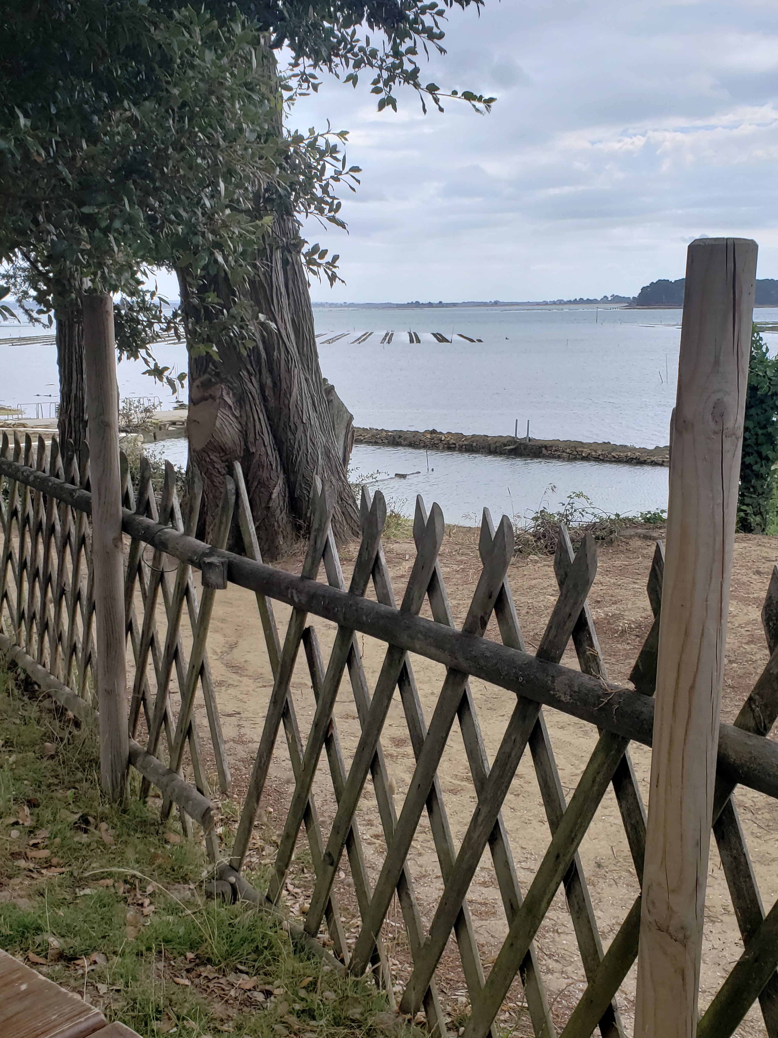 Photo n° 1 de l'avis de Michèle.e fait le 14/07/2023 à 09:46