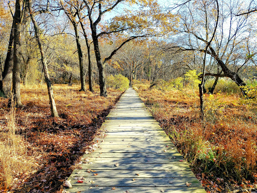 State Park «Cheesequake State Park», reviews and photos, 300 Gordon Rd, Matawan, NJ 07747, USA